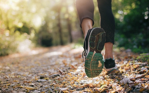 Knapp 400 Starter beim Nibelungenrun 2025