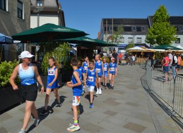 Dsc 6110 Mittel